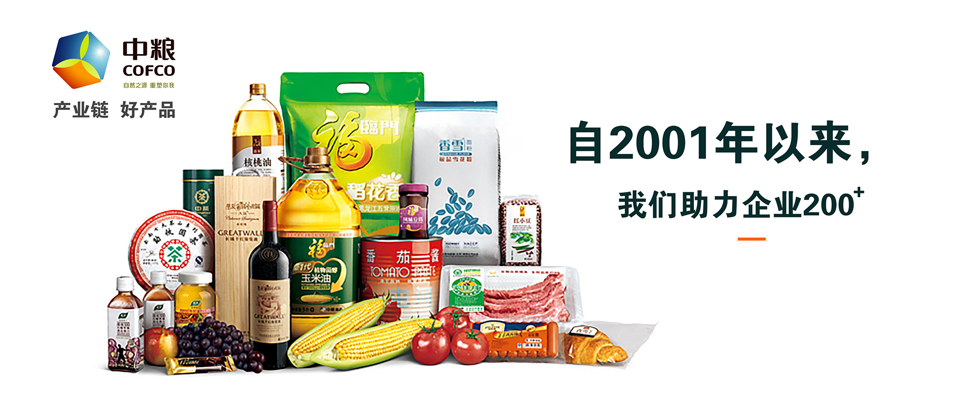 案  例